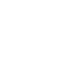 White Cross Icon